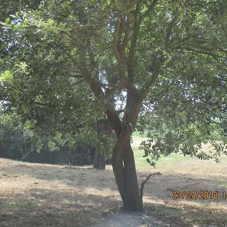 Quinta Do Caracol Tatil Evi Alfeizerão