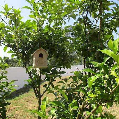 Quinta Do Caracol Tatil Evi